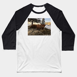 Scottish Highland Cattle Cows 2222 Baseball T-Shirt